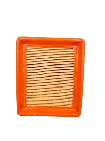 AIR FILTER DISCOVER 125ST